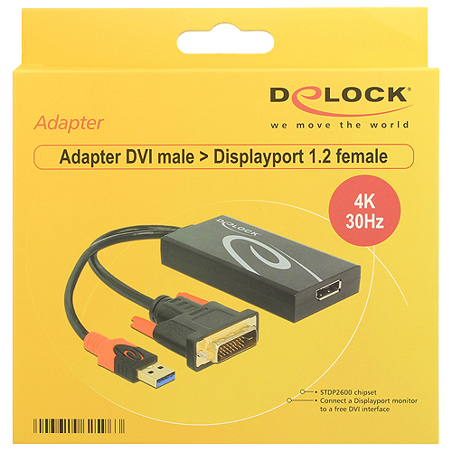 Delock - Videokonverter - Schwarz