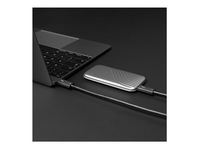 Lindy - Thunderbolt-Kabel - 24 pin USB-C (M) zu 24 pin USB-C (M) - Thunderbolt 4 - 20 V - 5 A - 2 m - USB-Stromversorgung (100 W), 8K Unterstützung, dual 4K60Hz support, aktiv - Schwarz