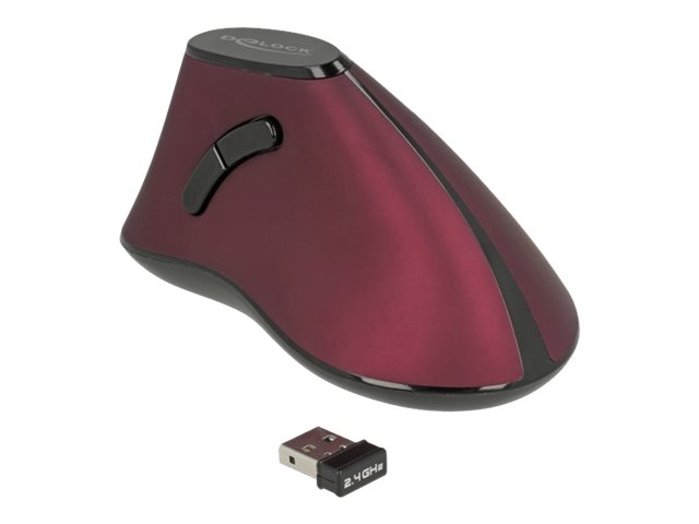 Delock Ergonomische Maus 12528 USB  kabellos