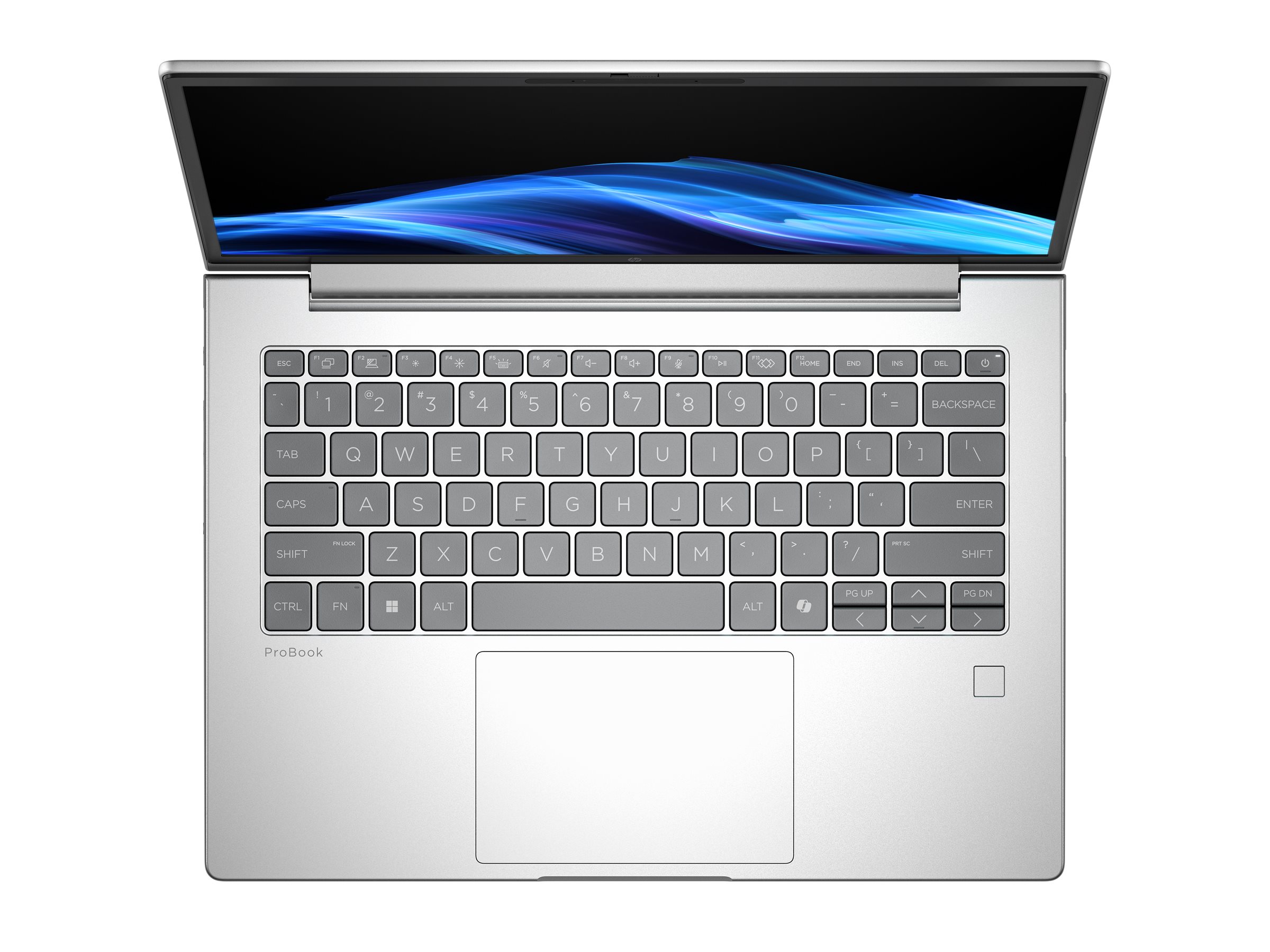 HP ProBook 4 G1i Notebook AI - 40.6 cm (16") - Core Ultra 7 255U - 24 GB RAM - 512 GB SSD - Deutsch
