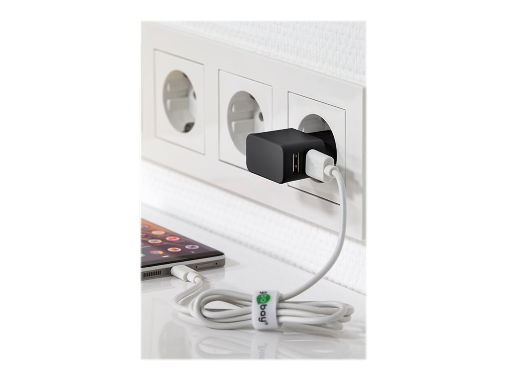 goobay Dual USB charger Netzteil - USB - 12 Watt