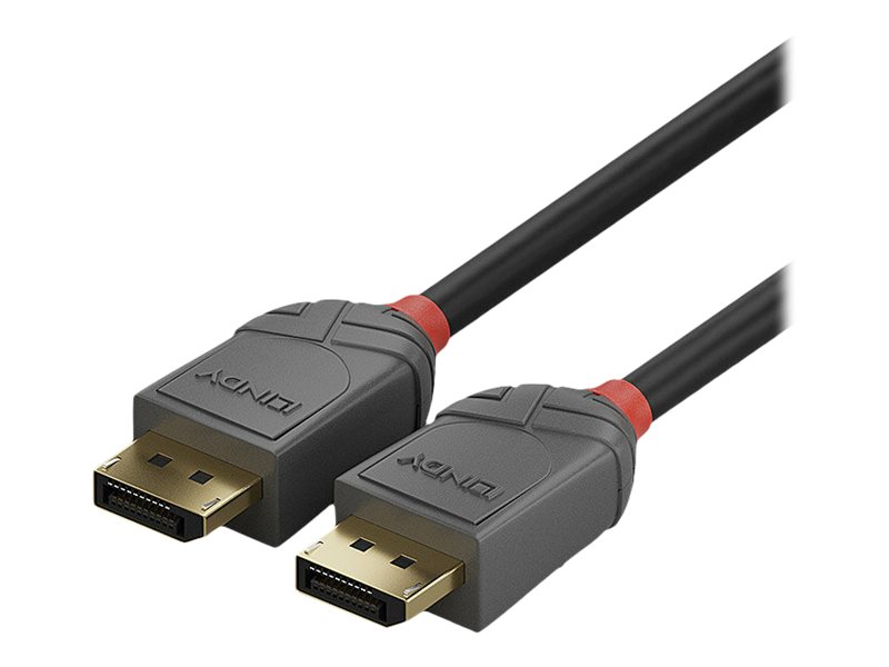 Lindy Anthra Line - DisplayPort-Kabel - DisplayPort (M) zu DisplayPort (M) - DisplayPort 1.4 - 2 m - rund - Schwarz