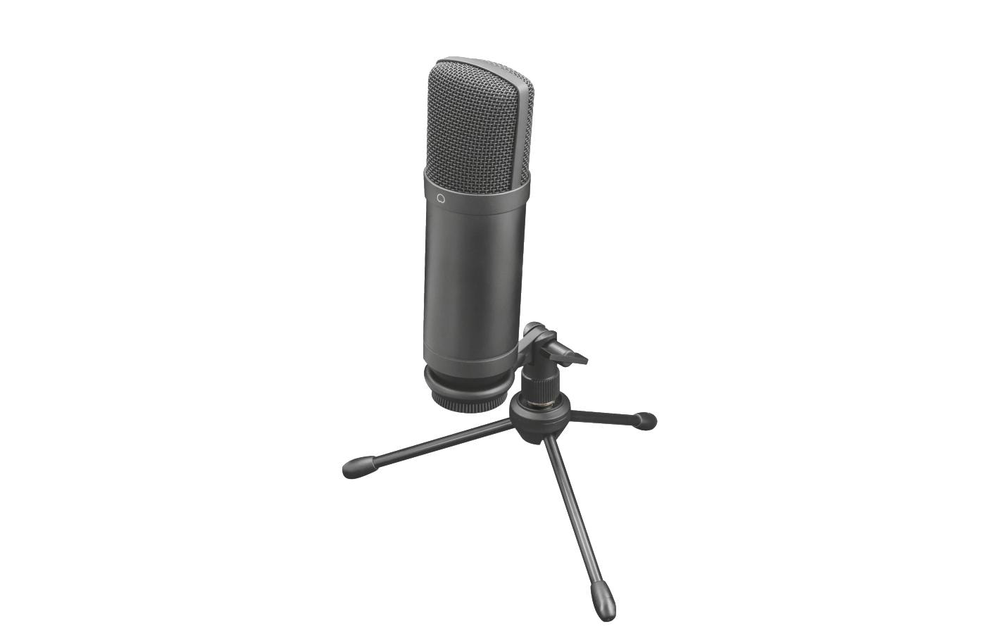 Professionelles Streaming-Mikrofon