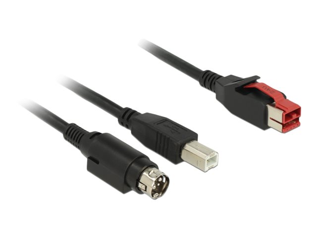Delock - Powered USB-Kabel - USB PlusPower (24 V) (M) zu USB Typ B, Strom mini-DIN (M) - 24 V - 3 m - Schwarz