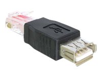 Delock - USB-Adapter - RJ-45 zu USB