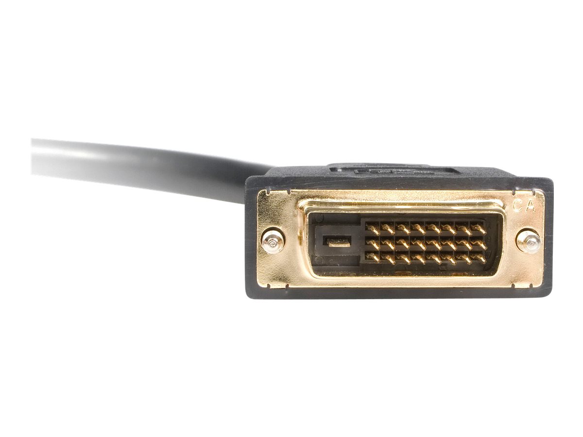 StarTech.com DVI-D auf 2x DVI-D 30cm Splitter Kabel - Dual Link DVI25 Y-Kabel - Stecker/2x Buchse - DVI-Adapter vergoldete Kontakte - Video-Verteiler - DVI - 30.5 cm