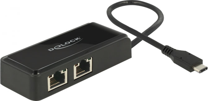 Delock Adapter USB-C 3.1 Gen 1 > 2 x Gigabit LAN 10/100/1000 Mb/s - Netzwerkadapter - USB 3.1 Gen 1 - Gigabit Ethernet x 2