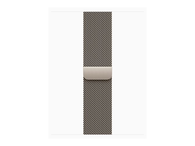 Apple Watch Series 10 GPS + Cellular 42mm Natural Titanium Case mit Natural Milanese Band (MWXF3QF/A)