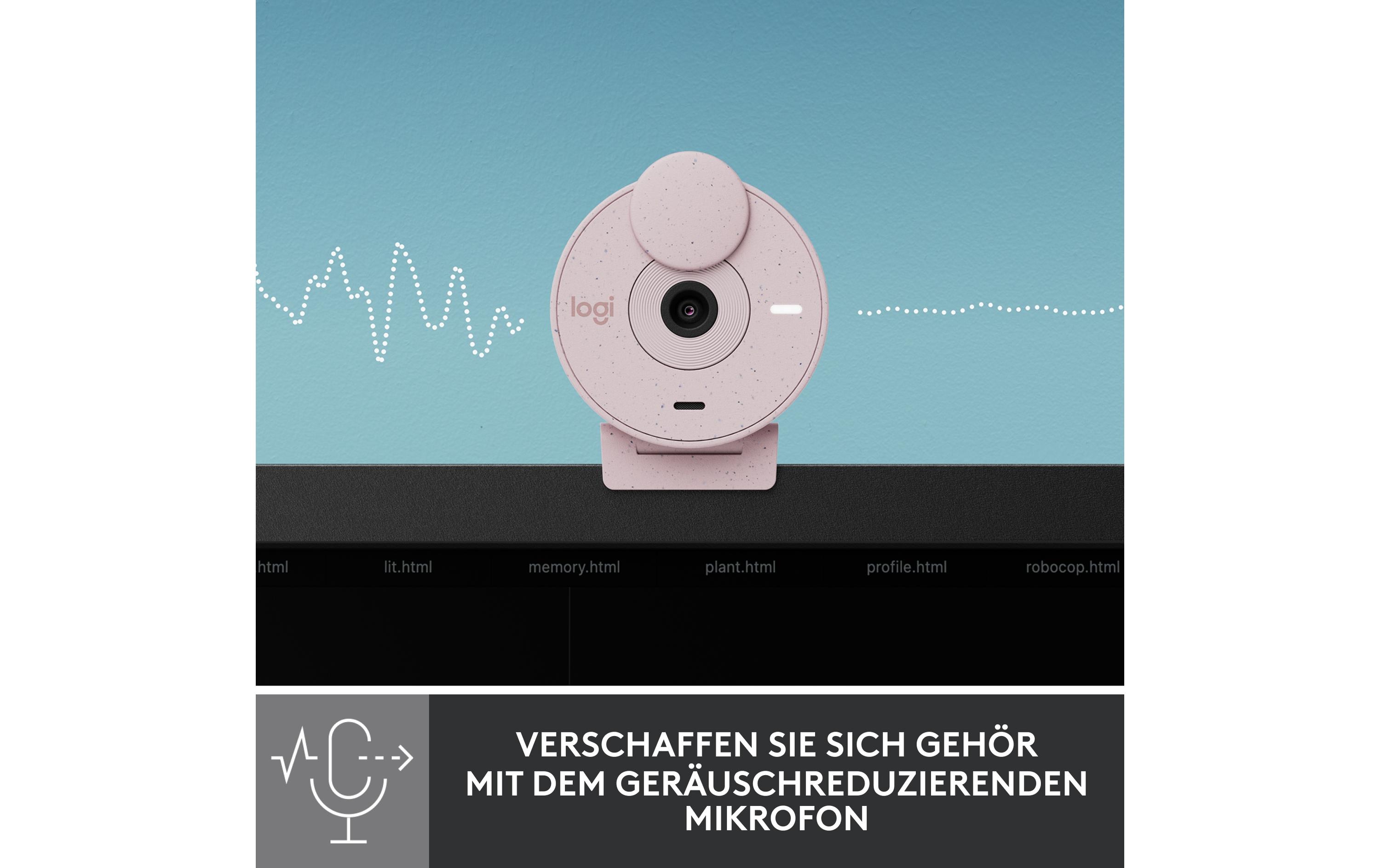 Logitech BRIO 300 - Webcam - Rose - 2 MP - 1920 x 1080 - 1080p, 720p - Audio - USB-C