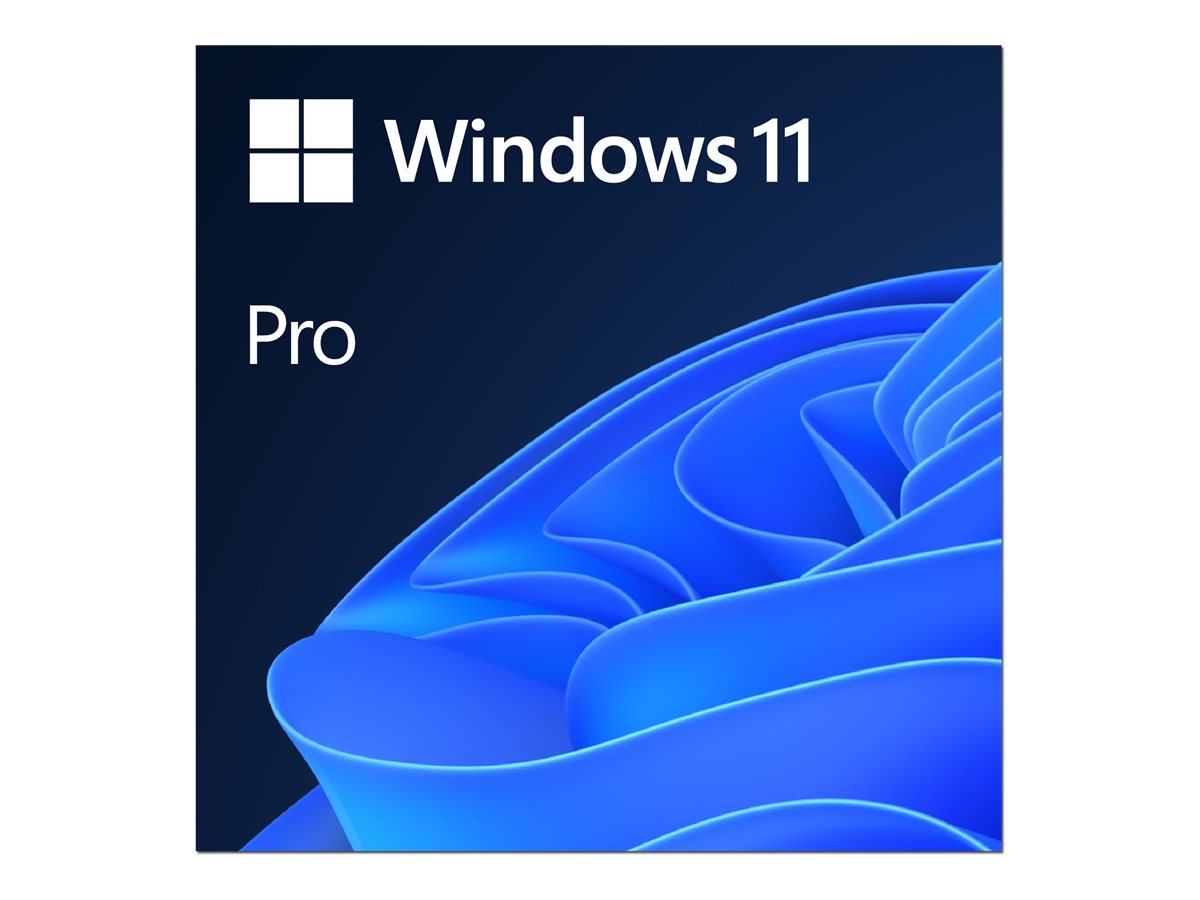 Microsoft Windows 11 Pro ESD, 64 bit