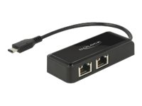 Delock Adapter USB-C 3.1 Gen 1 > 2 x Gigabit LAN 10/100/1000 Mb/s - Netzwerkadapter - USB 3.1 Gen 1 - Gigabit Ethernet x 2