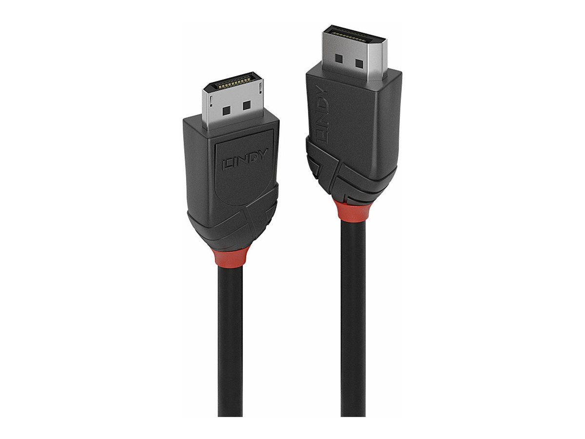 Lindy Black Line - DisplayPort-Kabel - DisplayPort (M) zu DisplayPort (M) - DisplayPort 1.2 - 2 m - Schwarz