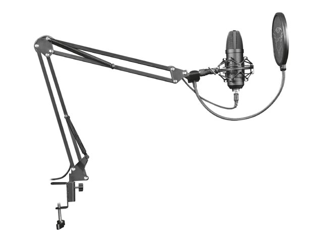 Professionelles Streaming-Mikrofon