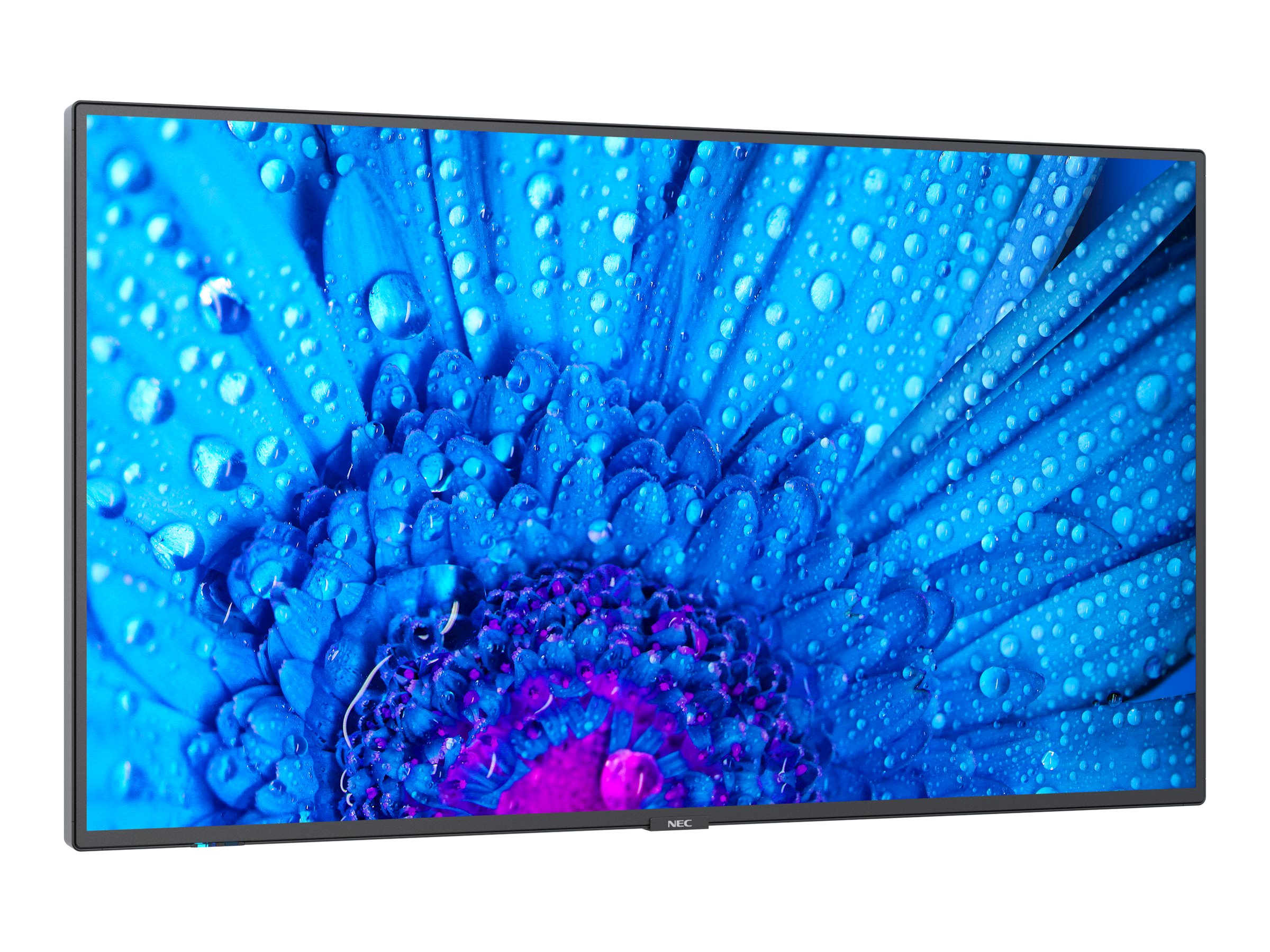 NEC MultiSync M431 - 108 cm (43") Diagonalklasse M Series LCD-Display mit LED-Hintergrundbeleuchtung - Digital Signage - 4K UHD (2160p) 3840 x 2160 - HDR - Edge-Beleuchtung - Schwarz