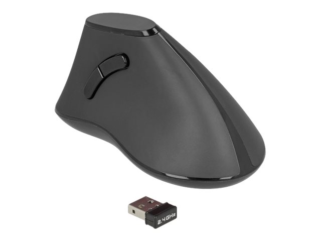 Delock Ergonomic - vertikale Maus - 2.4 GHz - Schwarz