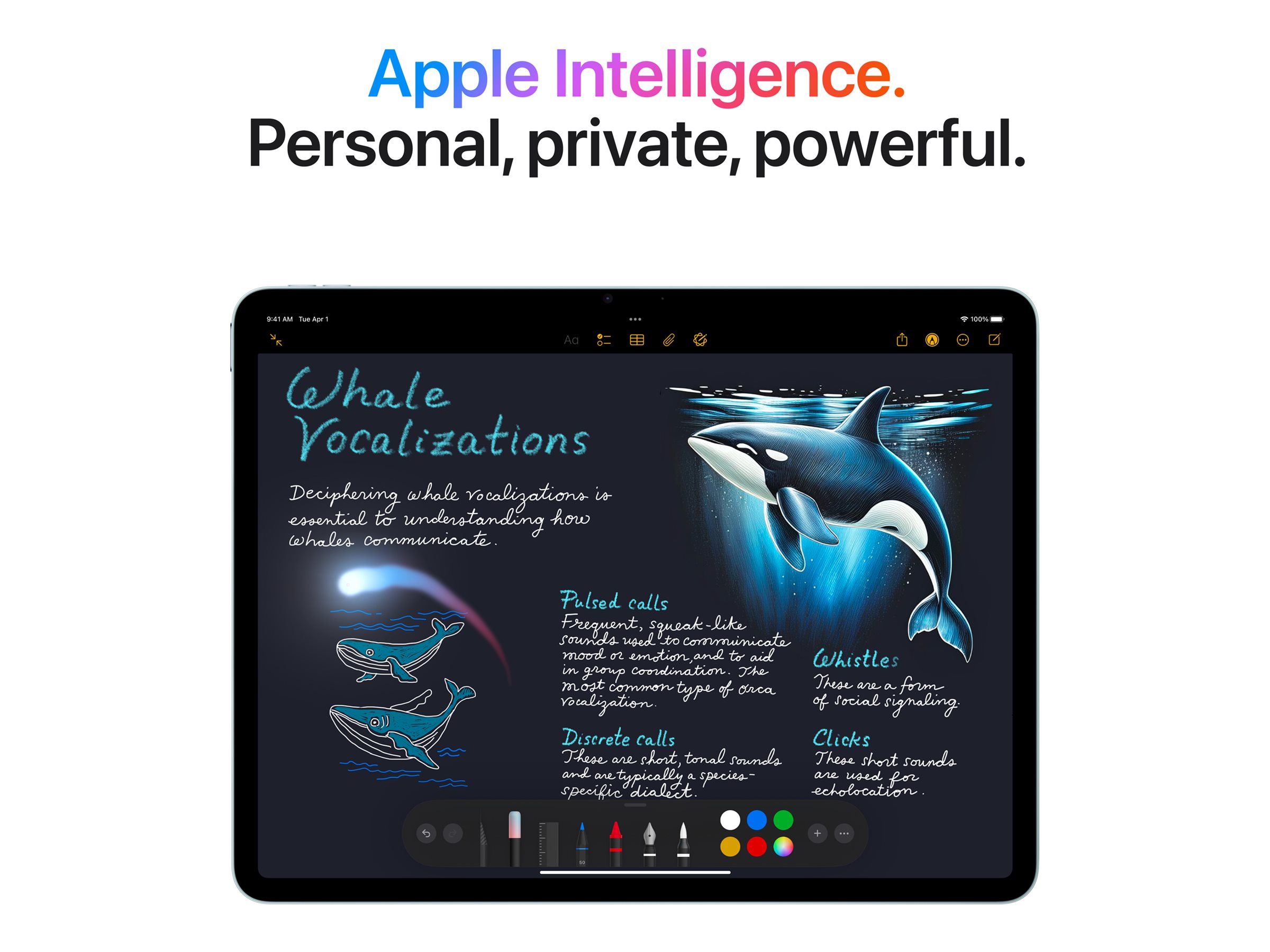 Apple 13-inch iPad Air M3 Wi-Fi + Cellular - Tablet - 256 GB - 33 cm (13") IPS (2732 x 2048) - 3G, 4G, 5G - Space-grau