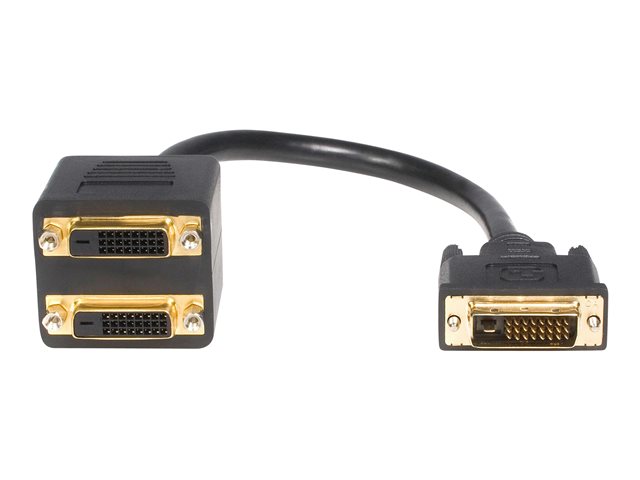 StarTech.com DVI-D auf 2x DVI-D 30cm Splitter Kabel - Dual Link DVI25 Y-Kabel - Stecker/2x Buchse - DVI-Adapter vergoldete Kontakte - Video-Verteiler - DVI - 30.5 cm