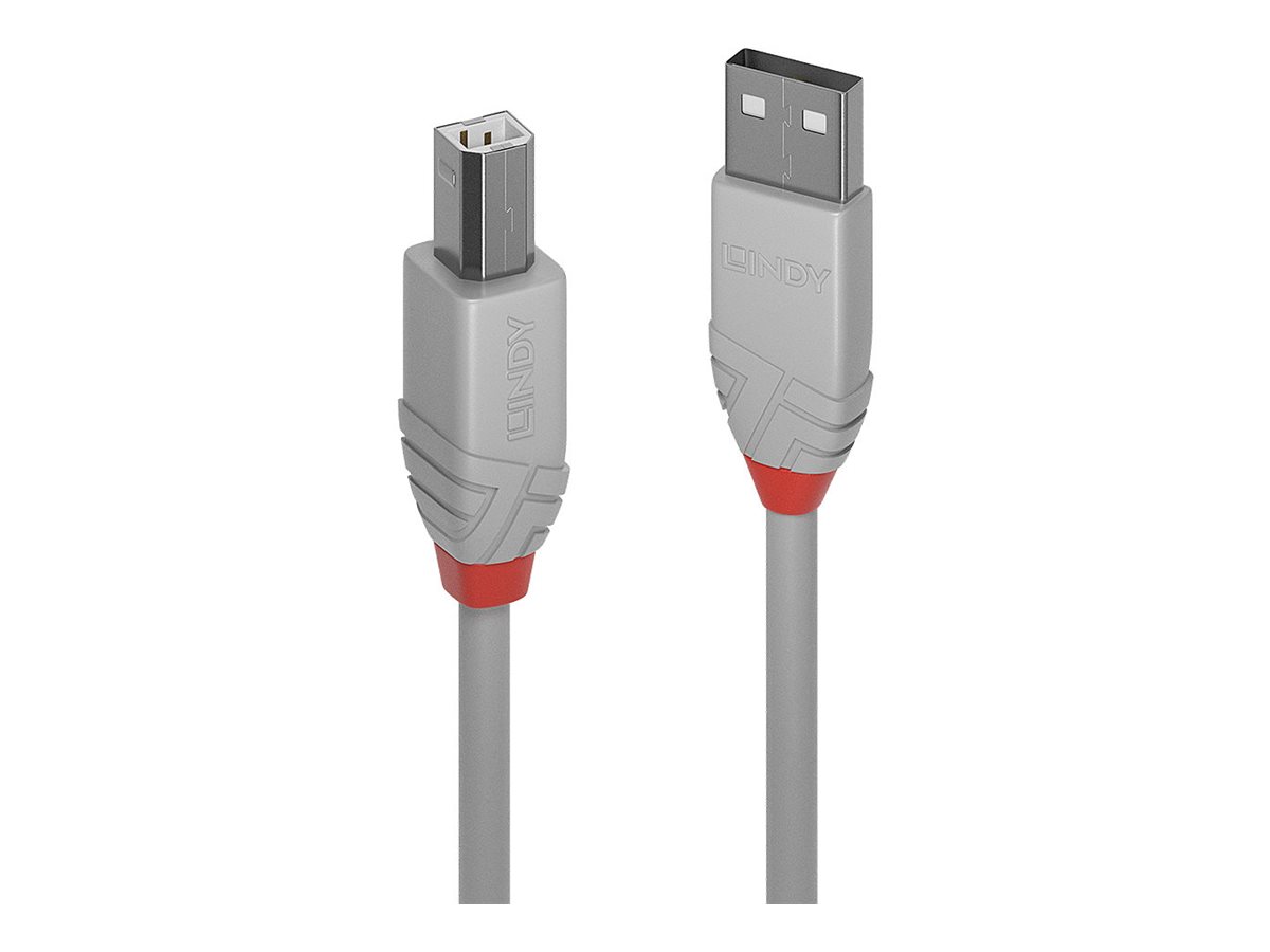 Lindy Anthra Line - USB-Kabel - USB (M) zu USB Typ B (M) - USB 2.0 - 3 m - rund - Grau