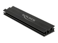 Delock Solid State Drive Kühlkörper