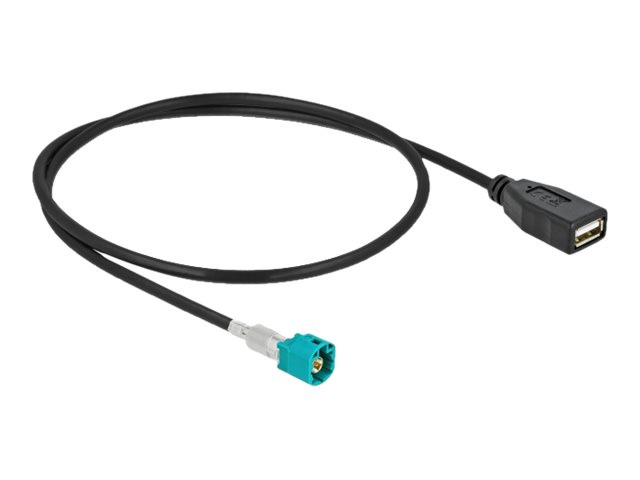 Delock - Datenkabel - HSD Z männlich zu USB weiblich - 50 cm