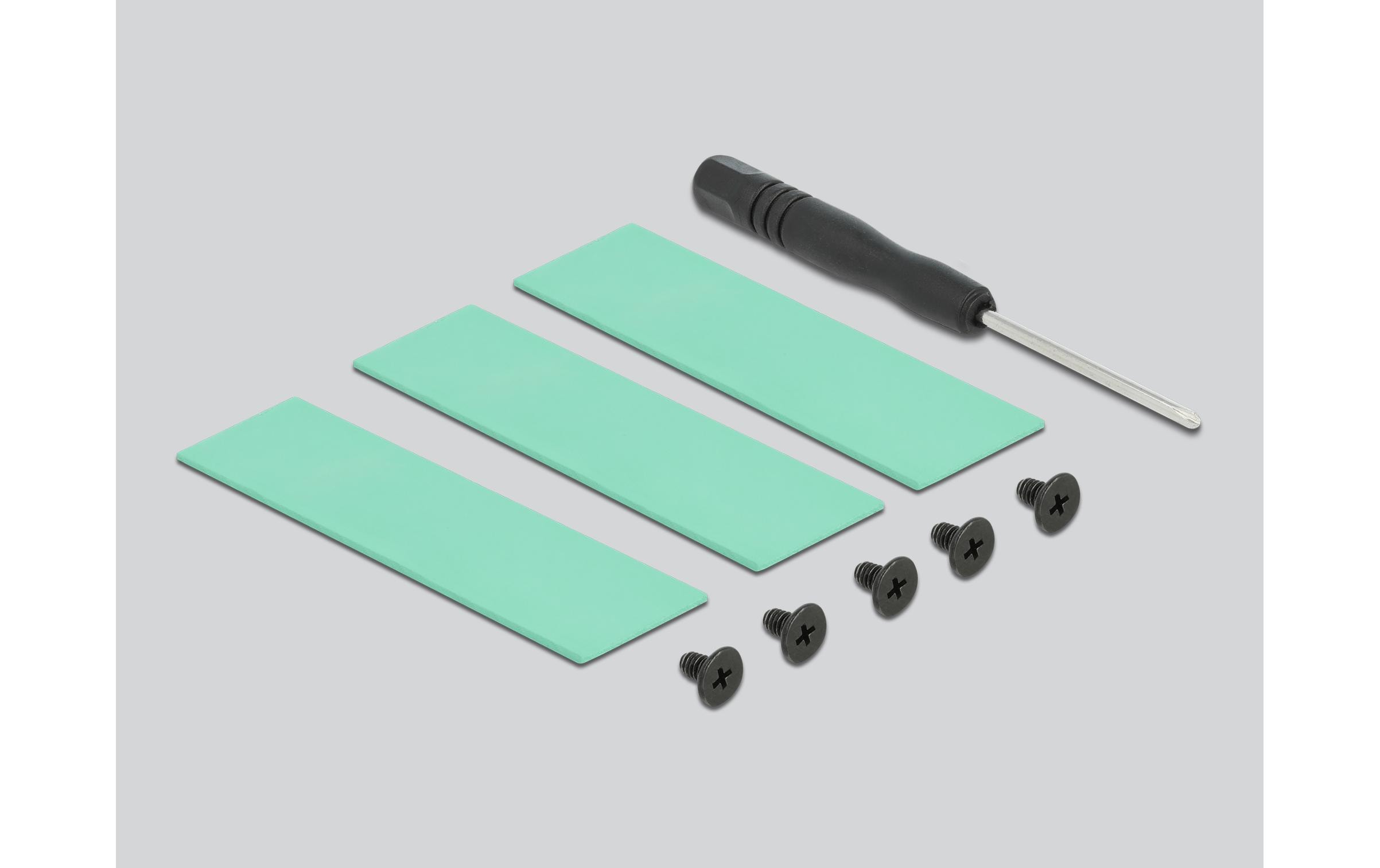 Delock Solid State Drive Kühlkörper