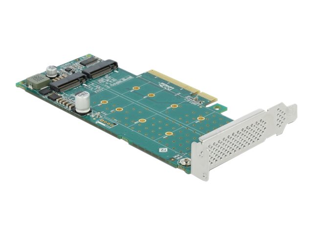 Delock PCI Express x8 Card to 2 x internal NVMe M.2 Key M - Bifurcation - Speicher-Controller - M.2 NVMe Card - PCIe 4.0 x8