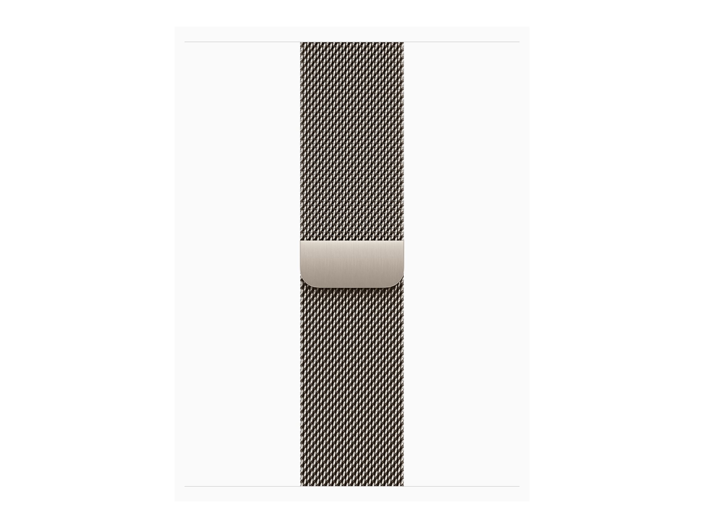 Apple Watch Series 10 GPS + Cellular 42mm Natural Titanium Case mit Natural Milanese Band (MWXF3QF/A)