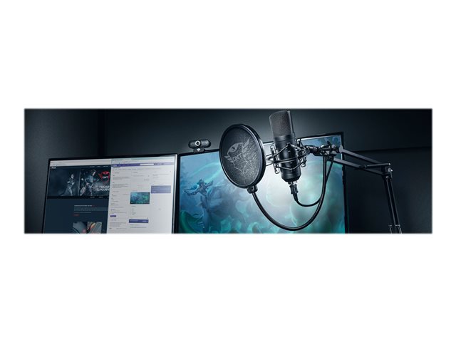 Professionelles Streaming-Mikrofon