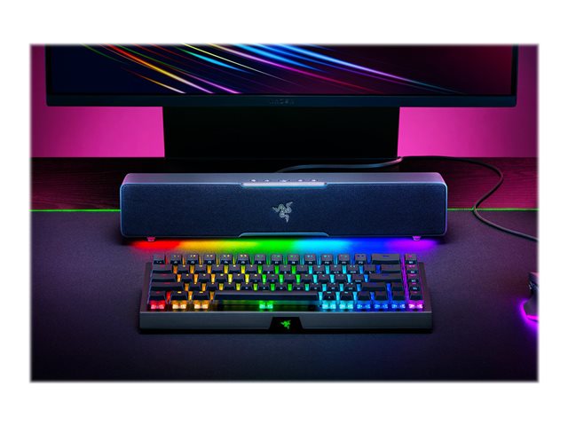 Razer PC-Lautsprecher Leviathan V2 X