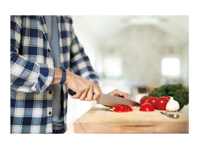 Fitbit Alta Classic Band - Armband für Aktivitätsmesser