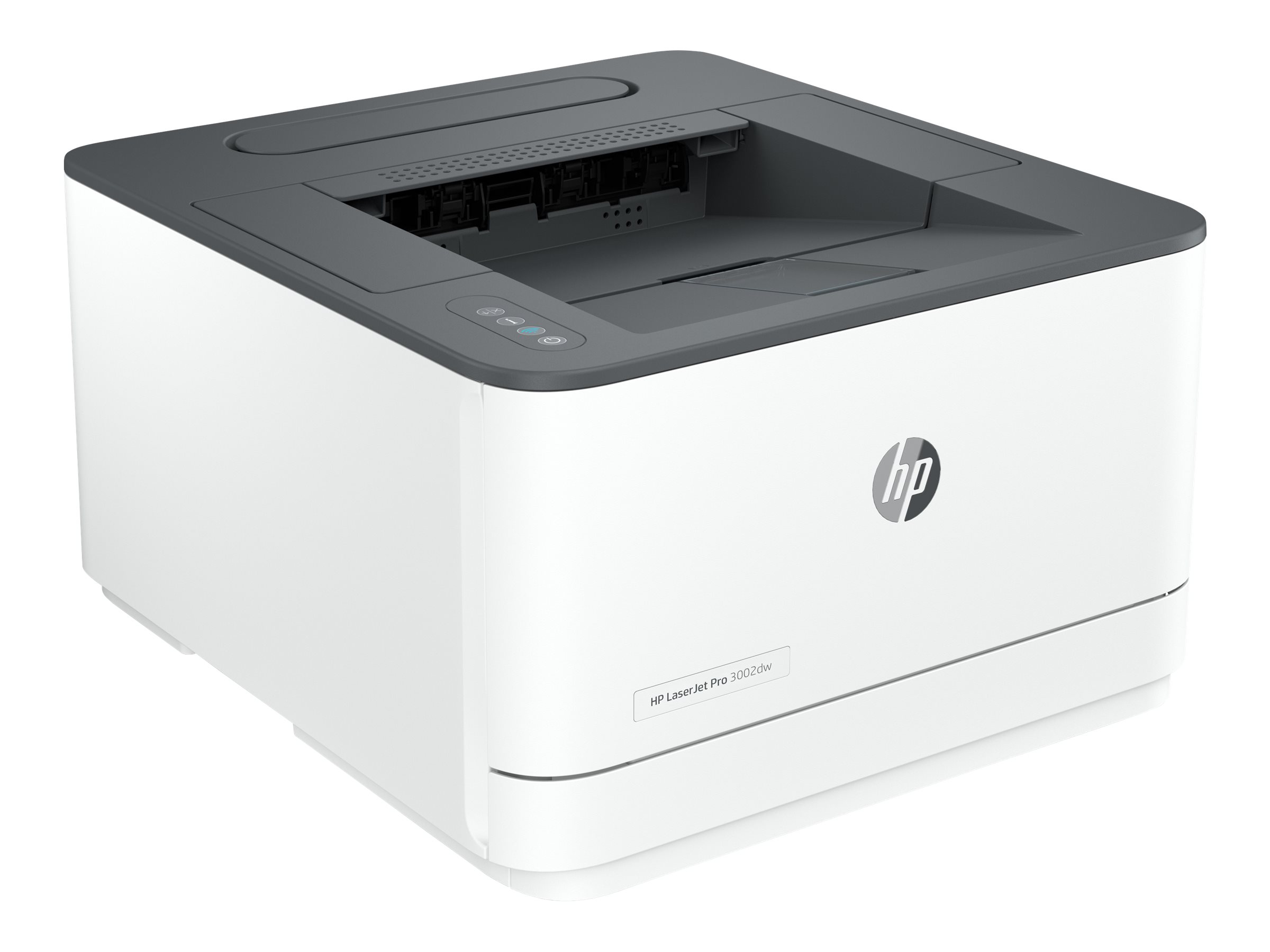 HP LaserJet Pro 3002dw - Drucker - s/w - Laser