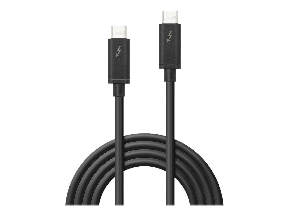 Lindy - Thunderbolt-Kabel - USB-C (M) bis USB-C (M) - USB 3.1 Gen 2 / Thunderbolt 3 / DisplayPort 1.2 - 1 m - umkehrbare Stecker, 4K Unterstützung - Schwarz