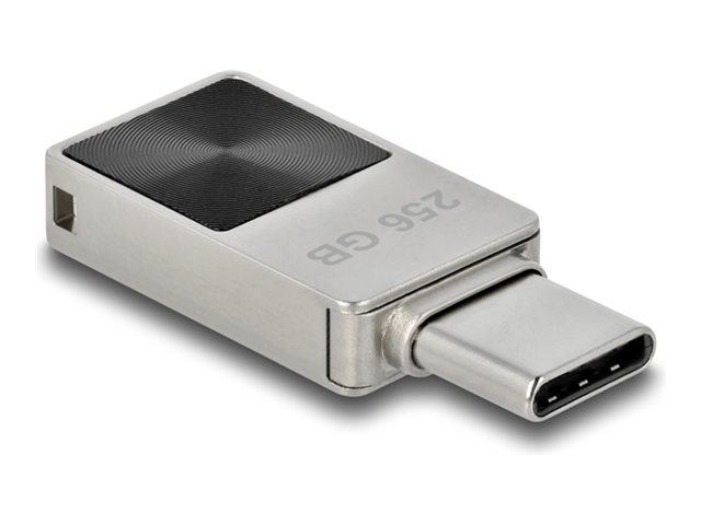 Delock - USB-Flash-Laufwerk - 256 GB
