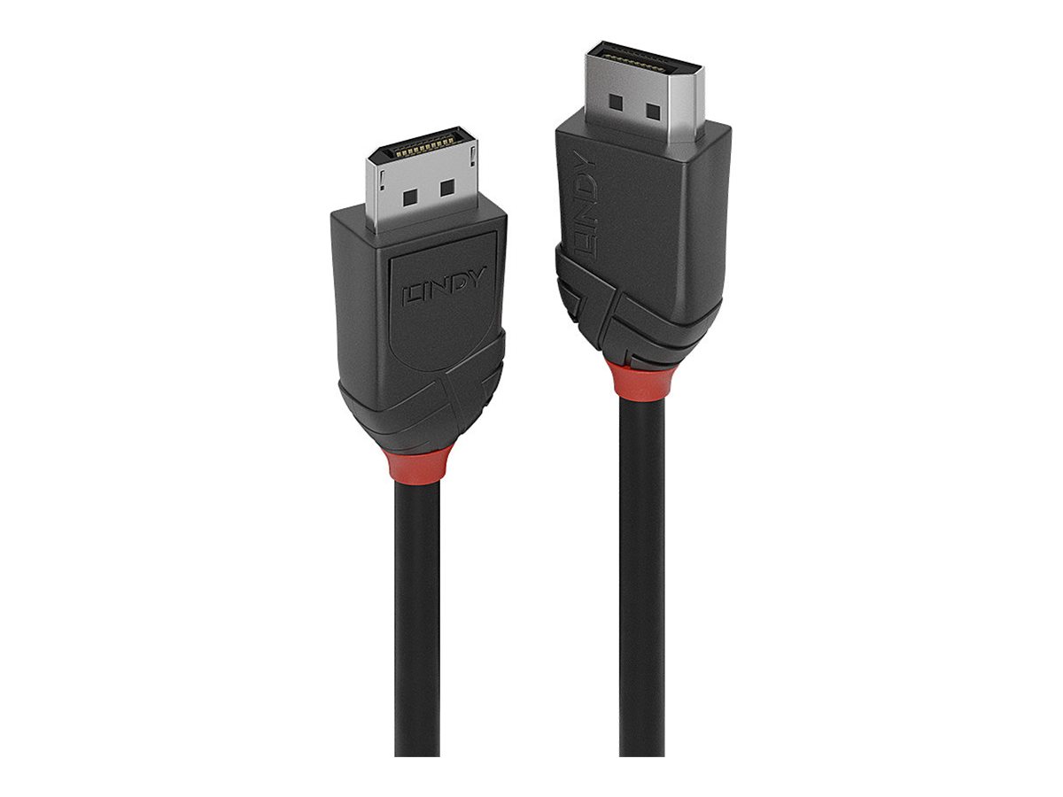 Lindy Black Line - DisplayPort-Kabel - DisplayPort (M) zu DisplayPort (M) - DisplayPort 1.2 - 50 cm - Schwarz