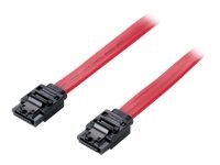 Equip - SATA-Kabel - Serial ATA 150/300/600 - SATA (W) zu SATA (W) - 1 m - eingerastet - Rot