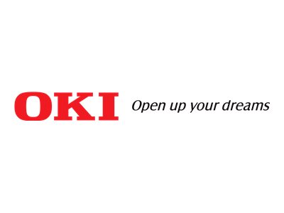 OKI Wireless LAN Module - Druckserver