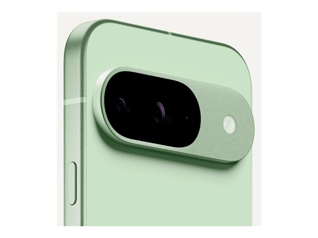 Google Pixel 9 - Wintergrün - 5G Smartphone - 128 GB - GSM
