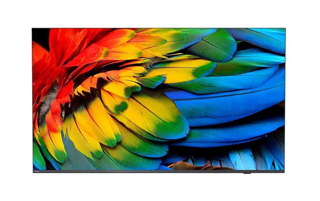 Philips 50HFL6214U - 126 cm (50") Diagonalklasse Professional MediaSuite LCD-TV mit LED-Hintergrundbeleuchtung - Gesundheitswesen / Hotel - Smart TV - Android TV - 4K UHD (2160p) 3840 x 2160 - Anthracite Gray