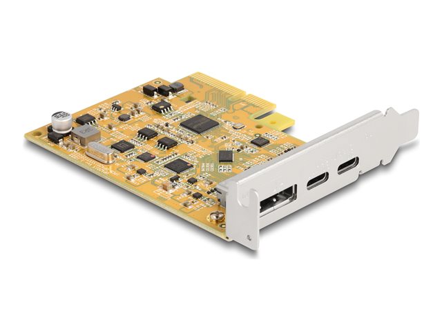Delock - USB-Adapter - PCIe 3.0 x4 - USB 3.2 Gen 2 x 2 + DisplayPort x 1