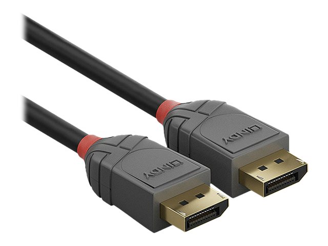 Lindy Anthra Line - DisplayPort-Kabel - DisplayPort (M) zu DisplayPort (M) - DisplayPort 1.4 - 2 m - rund - Schwarz