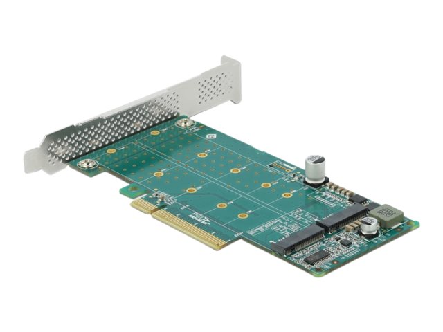 Delock PCI Express x8 Card to 2 x internal NVMe M.2 Key M - Bifurcation - Speicher-Controller - M.2 NVMe Card - PCIe 4.0 x8