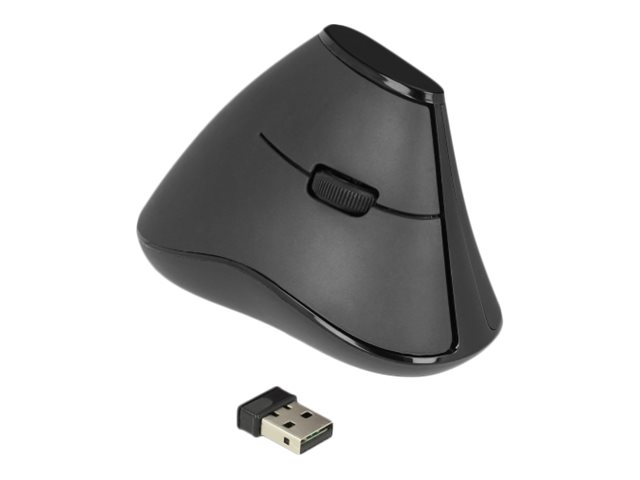 Delock Ergonomic - vertikale Maus - 2.4 GHz - Schwarz