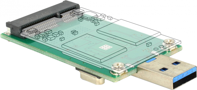 Delock - Speicher-Controller - mSATA - USB 3.0