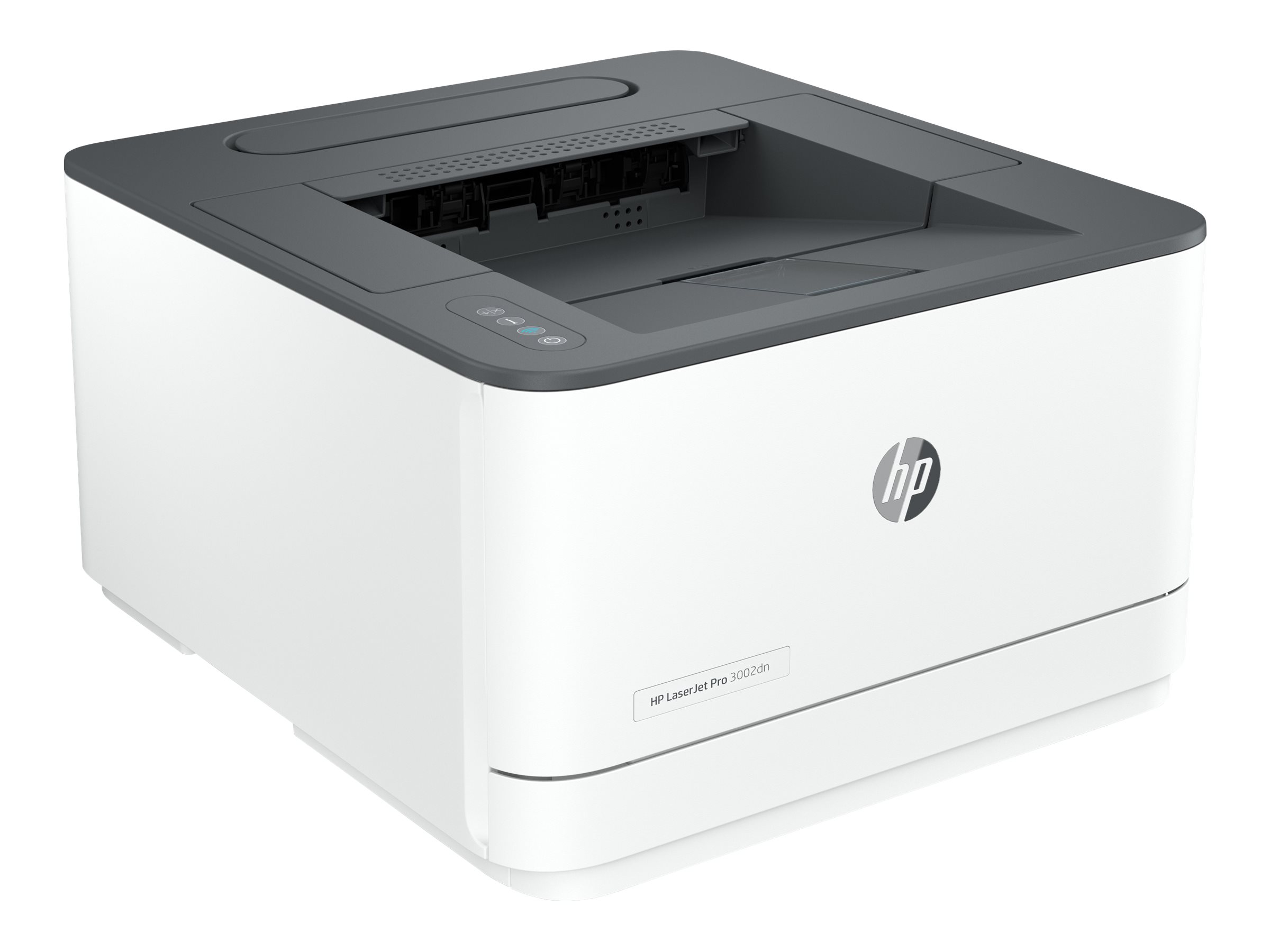 HP LaserJet Pro 3002dn - Drucker - s/w - Laser