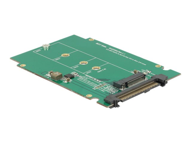 Delock Converter U.2 SFF-8639 > M.2 NGFF NVMe Key M - Laufwerksschachtadapter