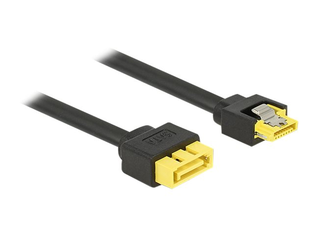 DeLOCK - SATA-Verlängerungskabel - Serial ATA 150/300/600 - SATA (S) eingerastet bis 8-polige SATA (R) - 30 cm