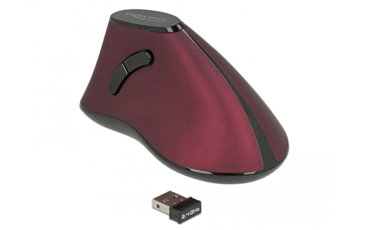 Delock Ergonomische Maus 12528 USB  kabellos