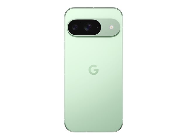 Google Pixel 9 - Wintergrün - 5G Smartphone - 256 GB - GSM