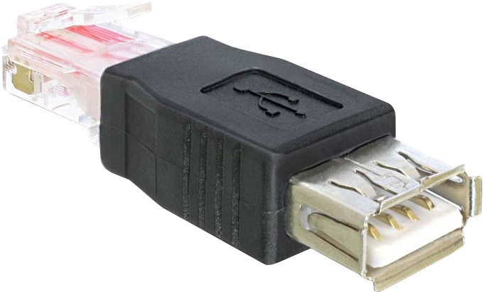 Delock - USB-Adapter - RJ-45 zu USB