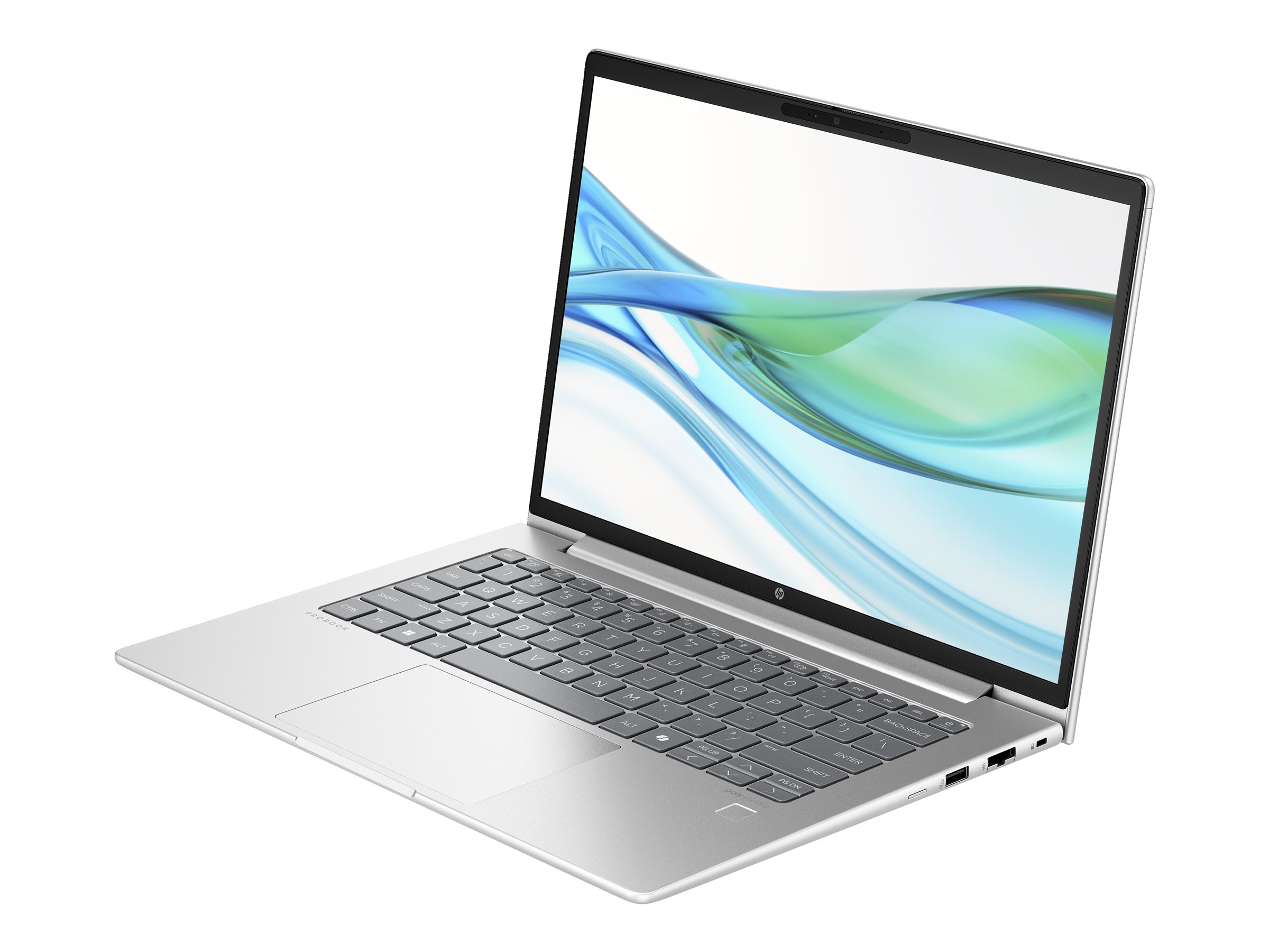 HP ProBook 440 G11 Notebook - 35.6 cm (14") - Core Ultra 5 125U - 16 GB RAM - 512 GB SSD - Deutsch - mit HP Wolf Pro Security Edition (1 Jahr)